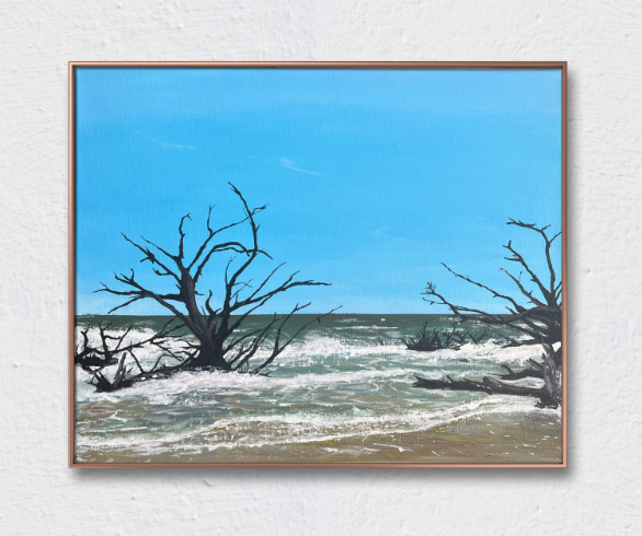 Driftwood Beach